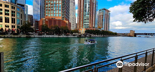 芝加哥河第 2 张图片