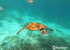 Daymaniyat Islands Nature Reserve