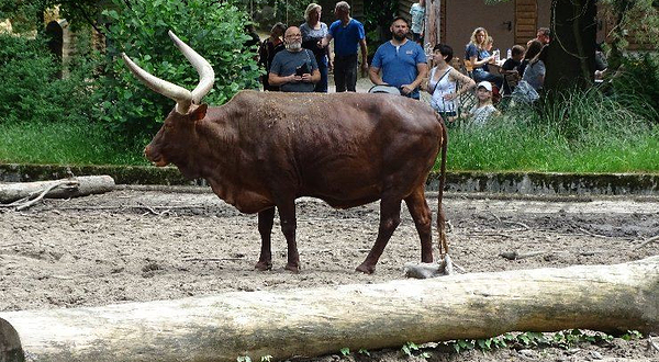 杜伊斯堡动物园