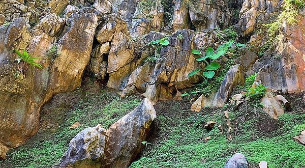 清心岭休闲文化村
