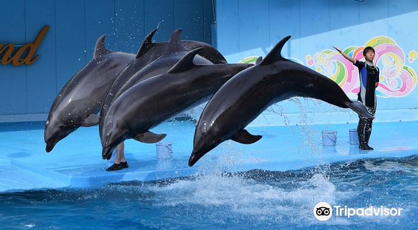 Minamichita Beach Land