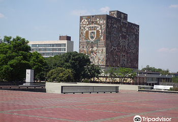 墨西哥国立自治大学城第 24 张图片