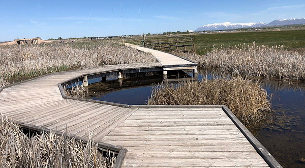 Great Salt Lake Shorelands Preserve