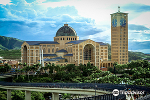 阿帕雷西达圣母全国朝圣所圣殿