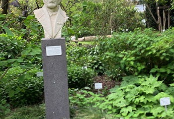 波恩大学植物园第 11 张图片