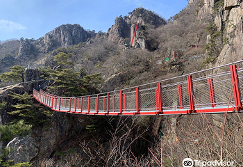 大芚山自然休养林第 3 张图片