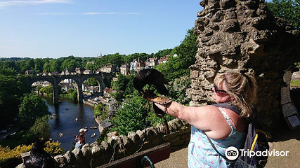Knaresborough Castle第 8 张图片