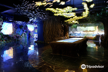 雅加达多媒体水族馆第 7 张图片