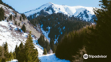 Temirlan Imangaliyev