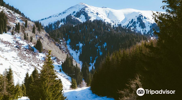 Temirlan Imangaliyev