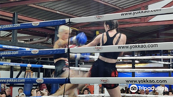 普吉岛拉维泰拳拳击比赛