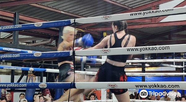 普吉岛拉维泰拳拳击比赛