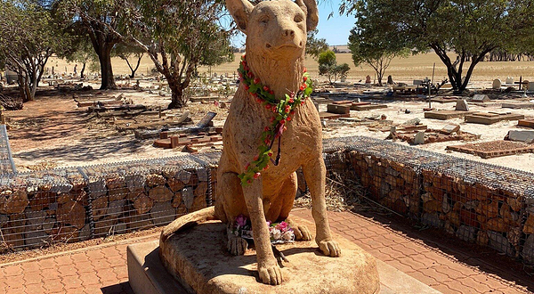 Corrigin Dog Cemetery