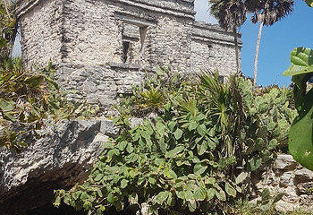 Parque Nacional Tulum第 4 张图片