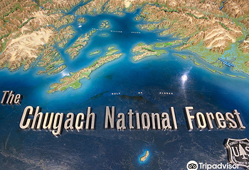 Begich Boggs Visitor Center第 14 张图片