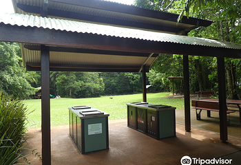 Mary Cairncross Scenic Reserve第 9 张图片