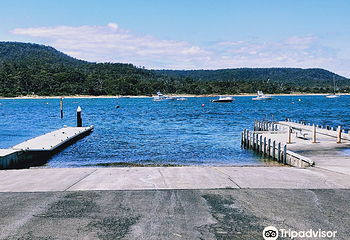 Coles Bay Jetty第 8 张图片