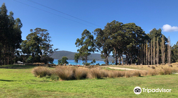 Bruny Island Berry Farm