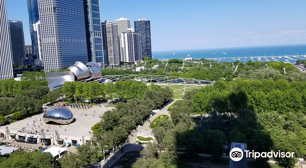 芝加哥旅游助理