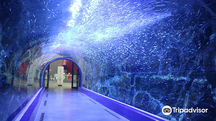 丽水Aqua Planet水族馆第 3 张图片