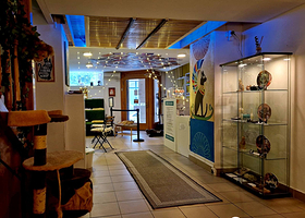 布达佩斯猫咪博物馆