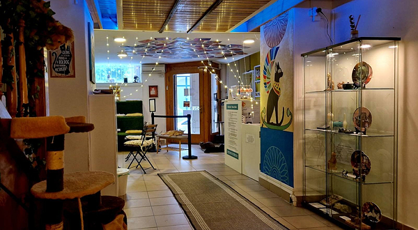 布达佩斯猫咪博物馆