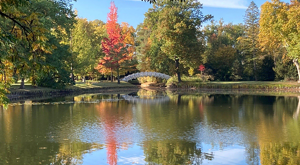 德绍-沃利茨园林王国