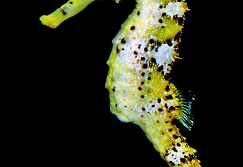 水族馆－水上动物园第 7 张图片