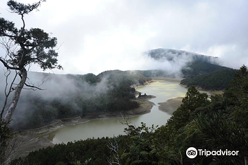 太平山森林游乐区第 10 张图片
