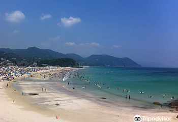 伊豆白滨海岸第 5 张图片