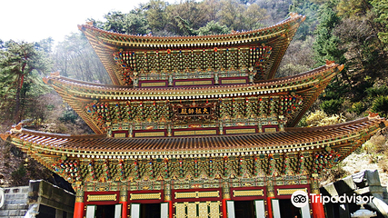 救仁寺第 2 张图片