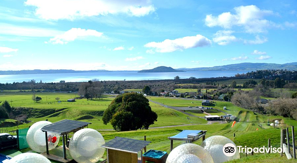 罗托鲁瓦OGO悠波球体验