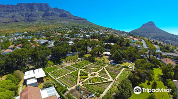Oranjezicht City Farm