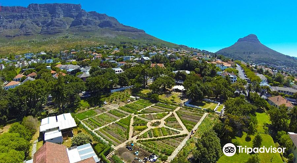 Oranjezicht City Farm