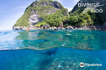 Diving Indo第 1 张图片