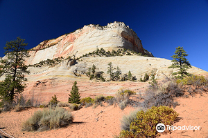 锡安山卡梅尔隧道