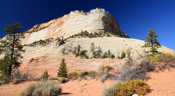 锡安山卡梅尔隧道