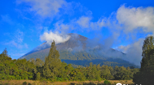 塞梅鲁火山