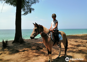普吉骑术俱乐部