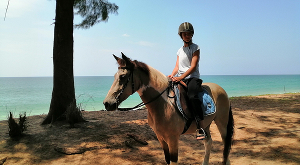 普吉骑术俱乐部