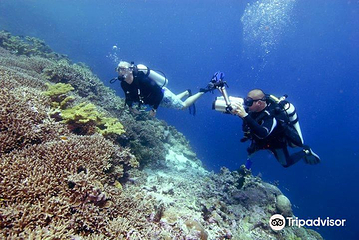 Diving Indo第 2 张图片