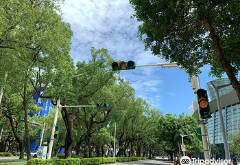 台北小巨蛋第 6 张图片