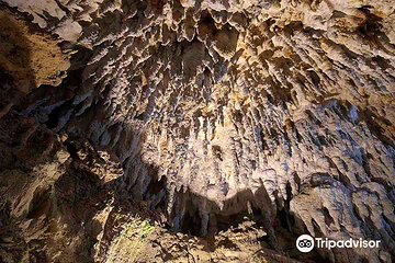 Cave Okinawa第 8 张图片