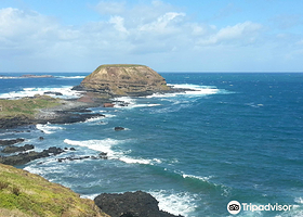 菲利普岛自然公园