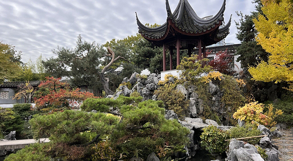 A Wok Around Chinatown