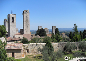 Rocca of Montestaffoli