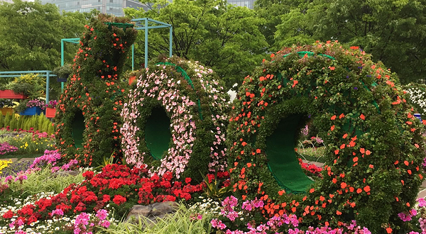 2025 高阳国际花卉博览会