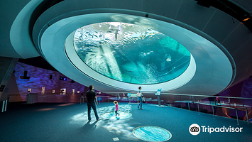 帕特里夏和菲利普·弗罗斯特科学博物馆