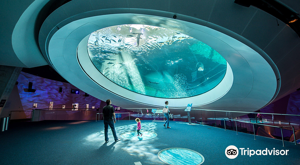 帕特里夏和菲利普·弗罗斯特科学博物馆