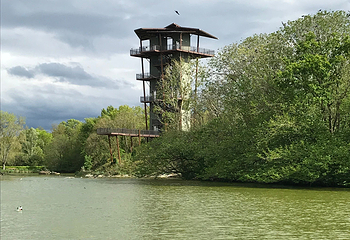 Bird park Villars les Dombes第 10 张图片